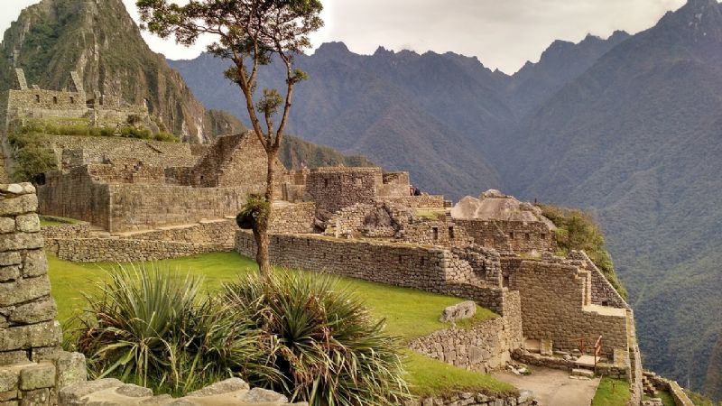 Machu Picchu reabre con un visitante inusual