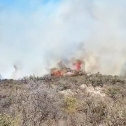 Bomberos combaten focos de incendios en varios puntos de Córdoba