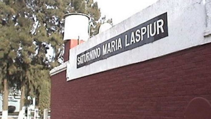 Llega la Fiesta Provincial de la Vaquillona Holando