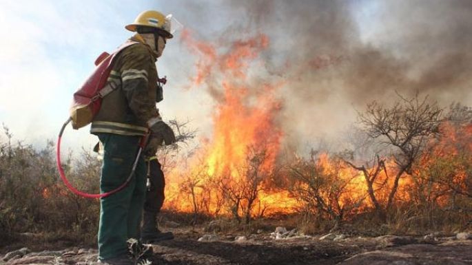 Difunden recomendaciones para prevenir incendios forestales