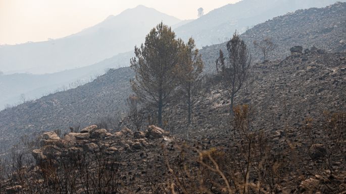 Incendios: los bomberos contuvieron los diferentes focos y permanecerán trabajando durante toda la noche