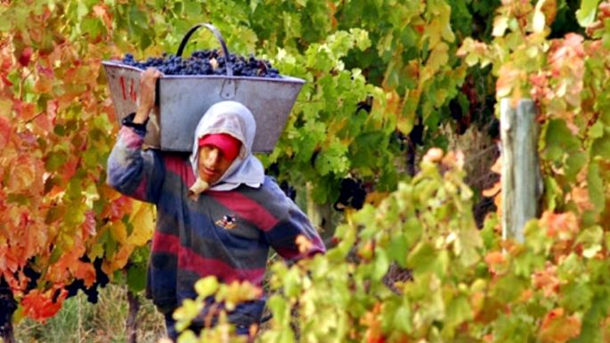 Trece provincias aplicarán protocolos sanitarios para trabajadores golondrinas