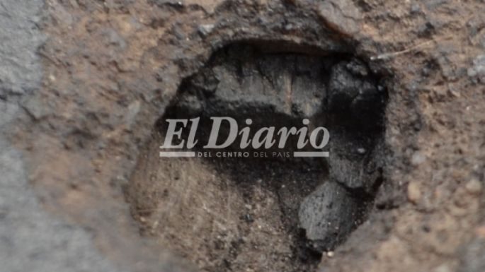 Investigan si pudo haber caído un fragmento de un meteorito