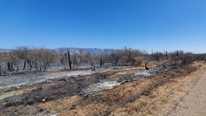 Sigue vigente el alerta por incendios forestales