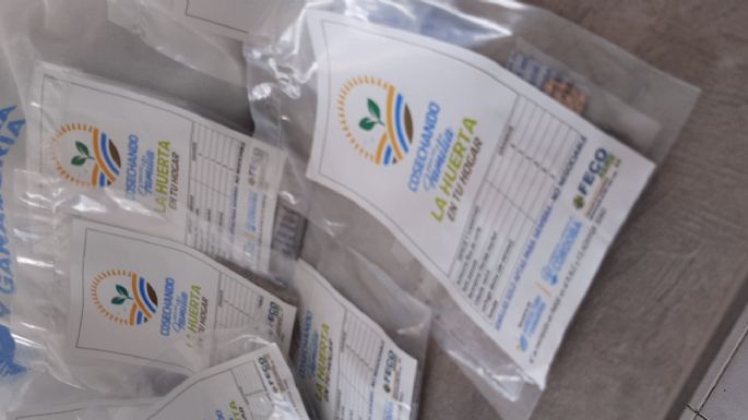 Llegaron los kits de semillas de "La huerta en tu hogar"