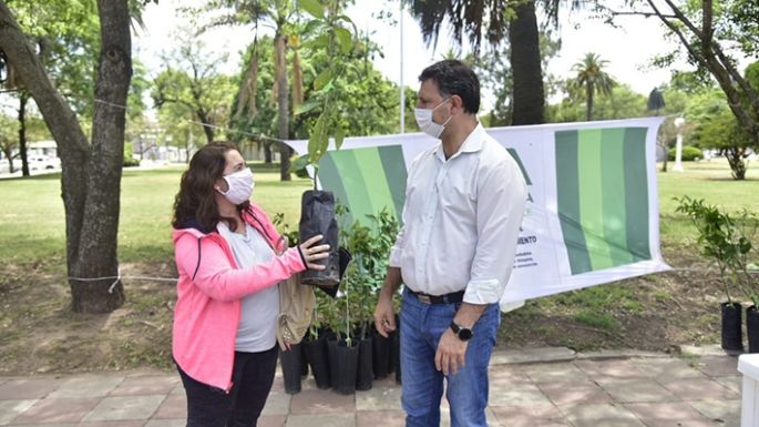 Comenzó la entrega de 300 frutales cítricos a vecinos