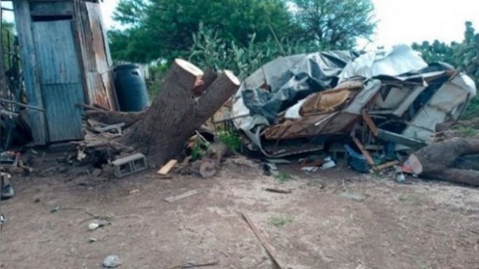 Un árbol aplastó una casa y murieron la mamá y su hija