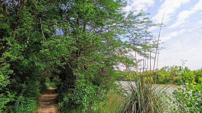 Trabajan en una reserva natural