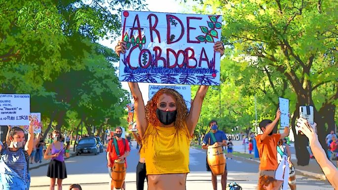 [Vídeos] Realizaron intervenciones espontáneas en defensa de los bosques nativos