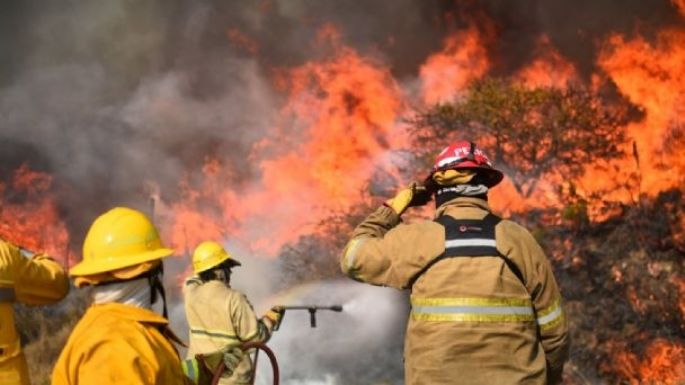 Incendios forestales: más de un millón de hectáreas fueron arrasadas en el año