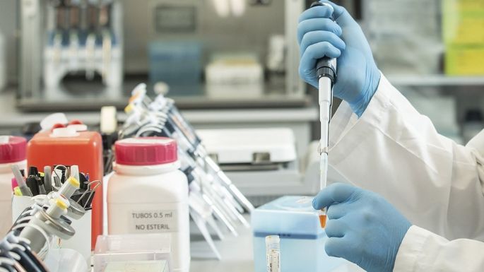 La ANMAT autorizó el suero equino para el tratamiento de coronavirus