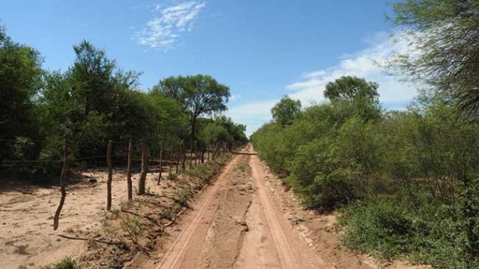 Remarcaron la obligación de “picadas perimetrales”