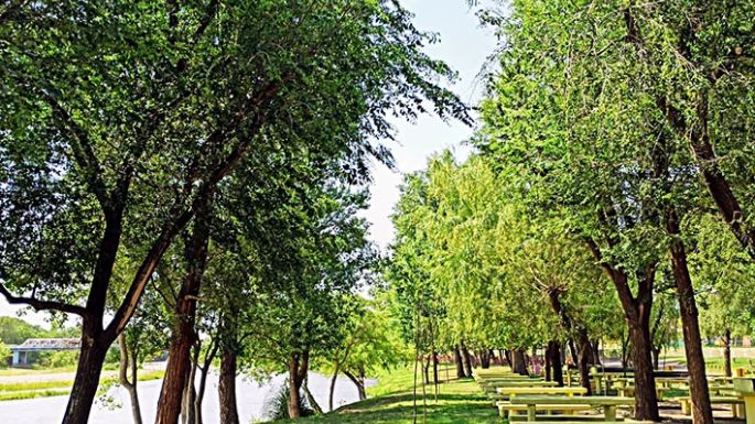 Abren la temporada en Pampayasta Sud