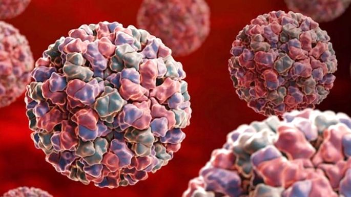 Alerta mundial por un brote de "norovirus" en China