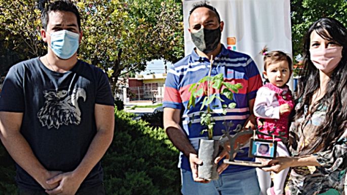 Entregarán 100 árboles por cada niño nacido
