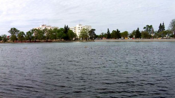 Propuesta para volver a nadar en el lago