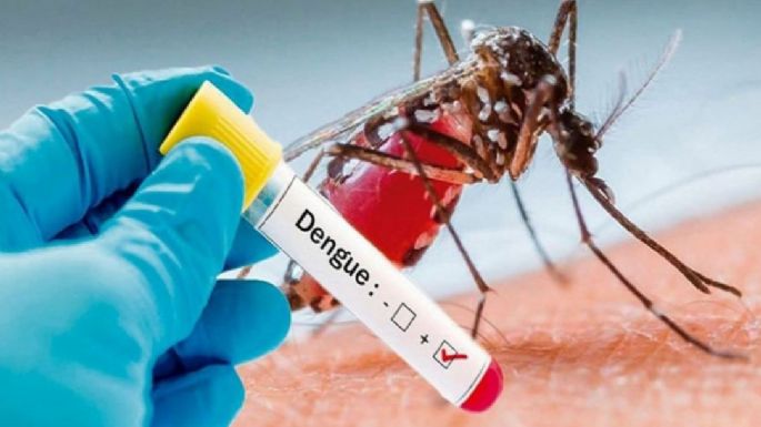 Dengue: América en alerta