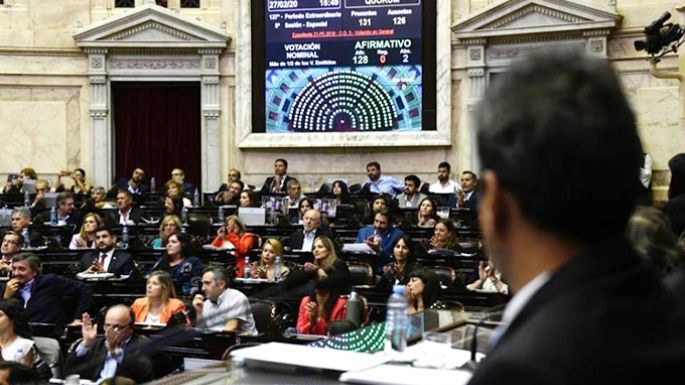 Diputados debatirá mañana la legalización del aborto y el "Plan de los 1000 días"