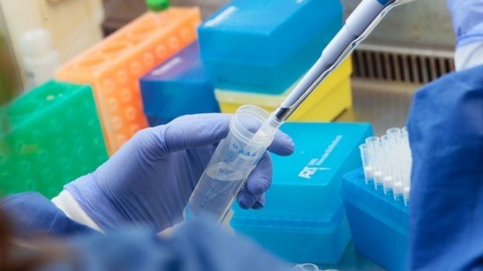 Descubrieron un fármaco oral que elimina en 24 horas la transmisión del coronavirus