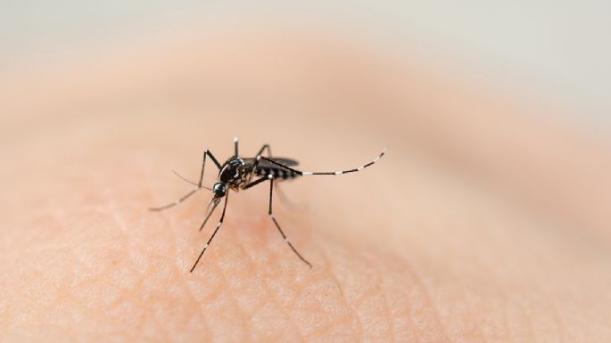 Murió por dengue un niño de tres años en Córdoba