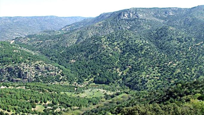 Hallaron sin vida a un lugareño  desaparecido en Traslasierra