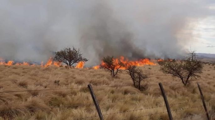 Un joven detenido por provocar un incendio rural