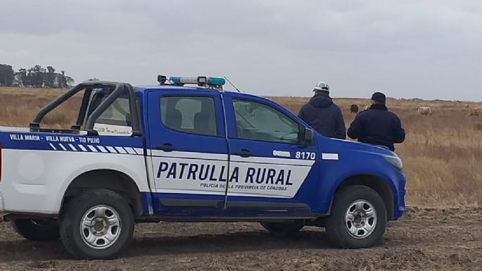 Un hombre detenido tras faenar un animal vacuno junto a un menor