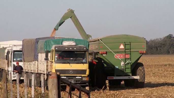 Transportistas de granos aseguran que trabajan con normalidad y que el cese no se siente