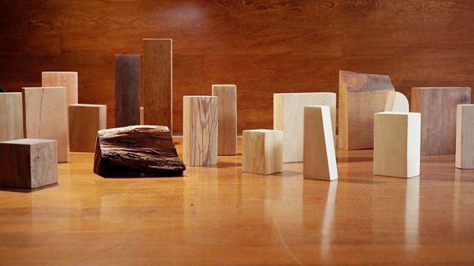 ¿Cómo elegir la mejor madera?
