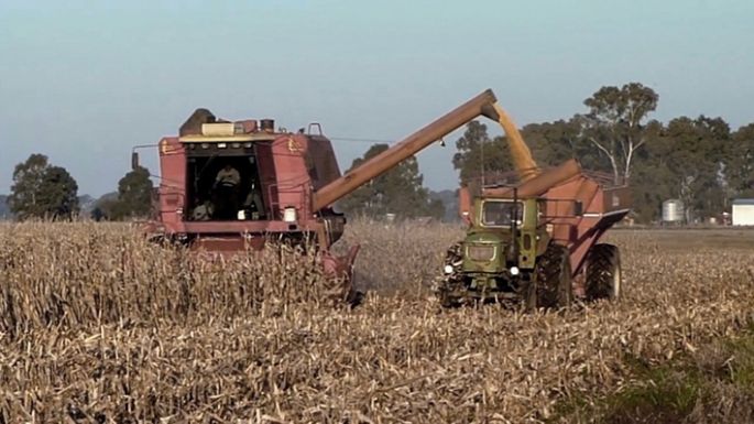 “Si el campo pierde, matamos al único sector productivo que genera divisas”