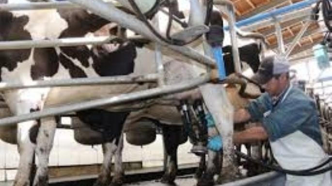 Productores de leche dicen que el gobierno omitió economías regionales importantes
