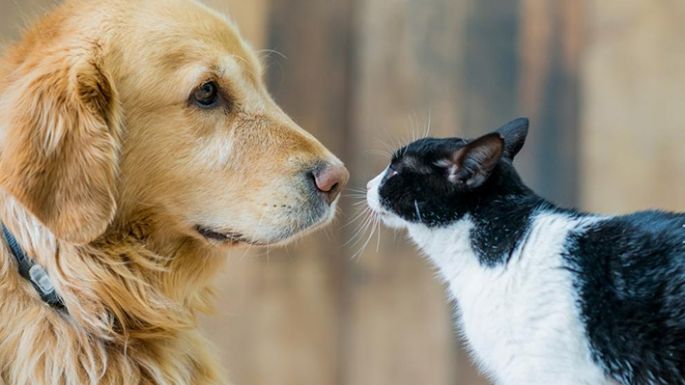 Aprendiendo a convivir
