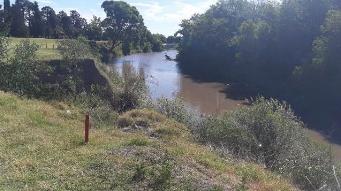 Avanza la ejecución del esperado puente