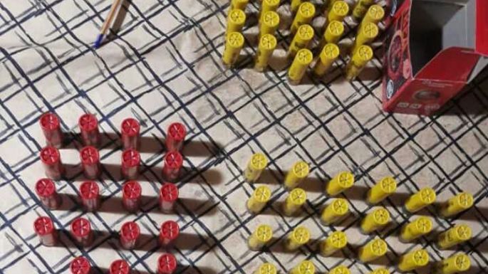 Secuestraron varias armas en una casa de Arroyo Algodón