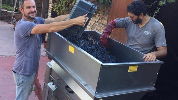 Productor local con malbec premiado
