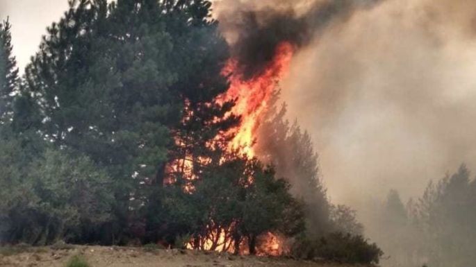 Son más de 7.000 las hectáreas quemadas en El Bolsón
