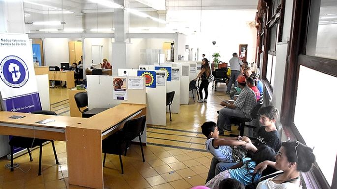 Casi 440 pasaportes