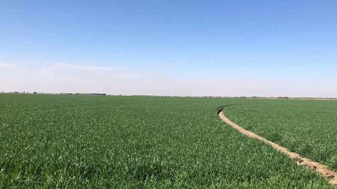 Tras la huella agropecuaria