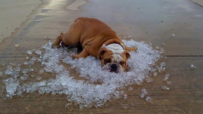 Calor y cuidados