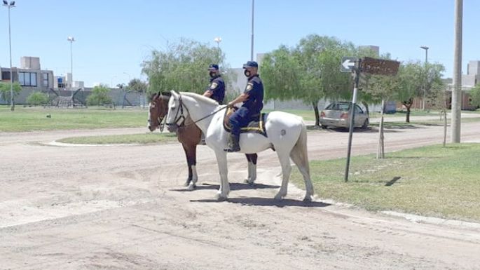 “Indio” y “Solitario” ya se sumaron a los patrullajes