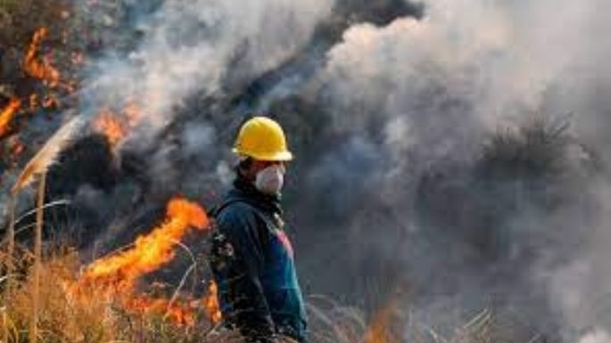 Alto riesgo de incendios en Córdoba
