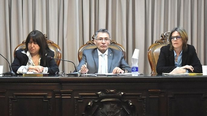 El fiscal pidió perpetua y la Defensa la absolución “por falta de pruebas”