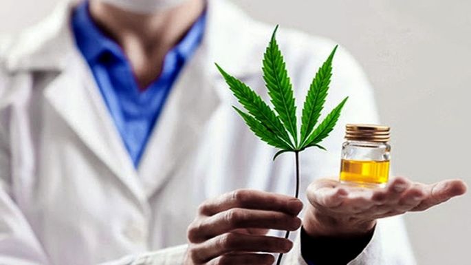 El 75,5% de los usuarios de cannabis medicinal redujo el consumo de fármacos