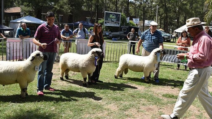 Este fin de semana se realiza la Fiesta de la Cría del Cordero Cordobés