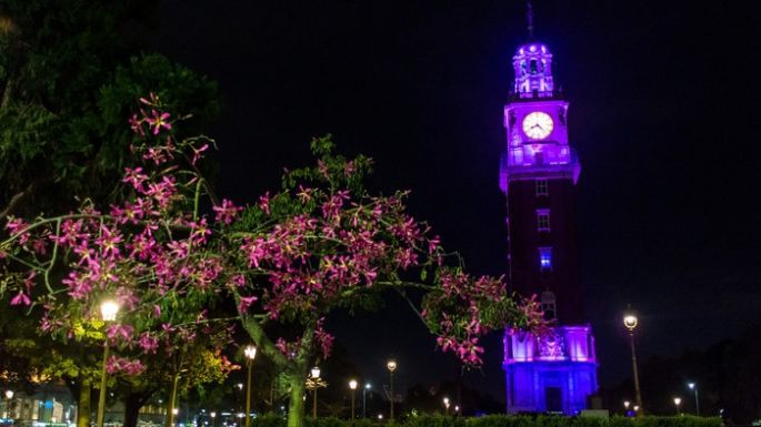 Buenos Aires iluminó sus monumentos por la lucha contra el cáncer de mama