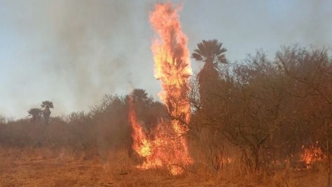 Voraz incendio en la zona de Caminiaga y Chuña Huasi