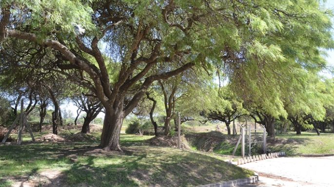 Reclaman reunión por el Montecito