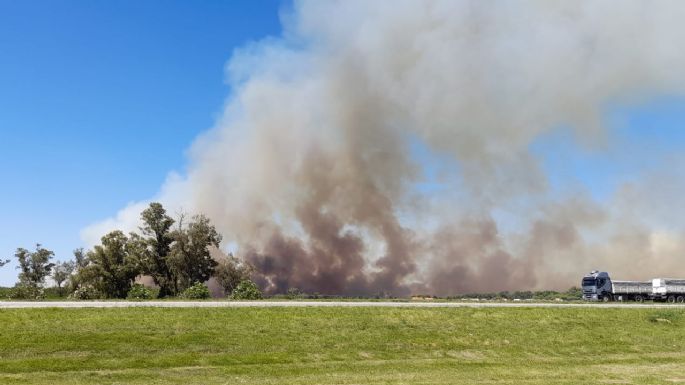 Incendio en un campo cerca de la autopista
