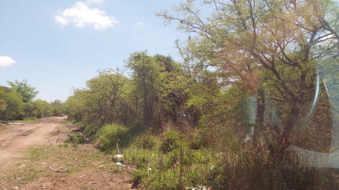La Asamblea Socioambiental se reúne para organizar el festival en el Montecito