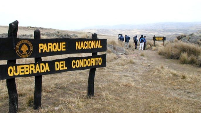 Con puente  en el acceso